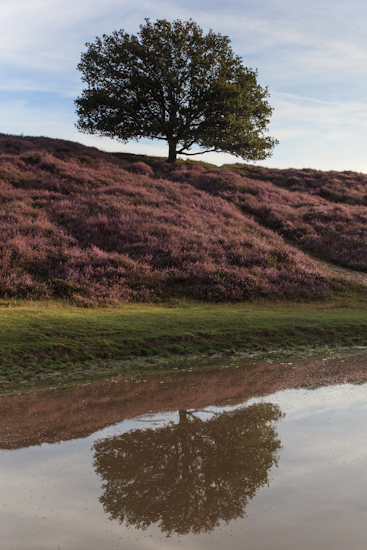 Jee, een mogelijkheid voor reflecties - Canon EOS 5DmkII, 40mm (Canon 17-40mm F4), 1/13s op f/14, ISO 100 - 1 stop grijsverloopfilter Jee, een mogelijkheid voor reflecties - Canon EOS 5DmkII, 40mm (Canon 17-40mm F4), 1/13s op f/14, ISO 100 - 1 stop grijsverloopfilter